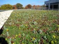 Unilever Corporate Headquarters - Greenroofs.com