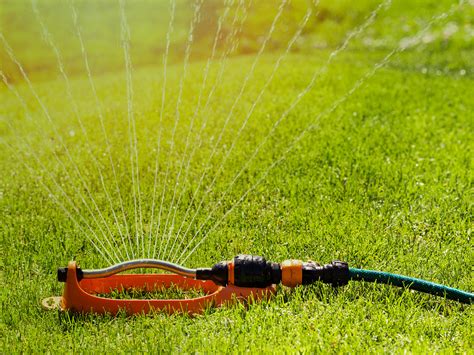 Things To Know About Automatic Plant Watering Systems