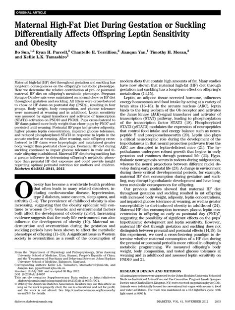 Pdf Maternal High Fat Diet During Gestation Or Suckling