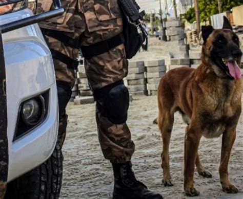 C O Policial Morre Durante Ocorr Ncia E Pm Faz Homenagem