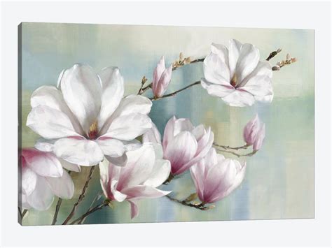Magnolia Artwork