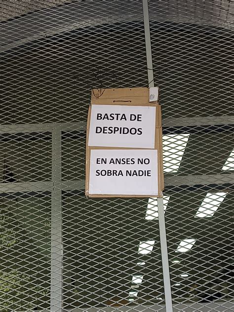 Tensión En Anses Empezaron A Llegar Los Telegramas De Despido A La Región Capital La Plata