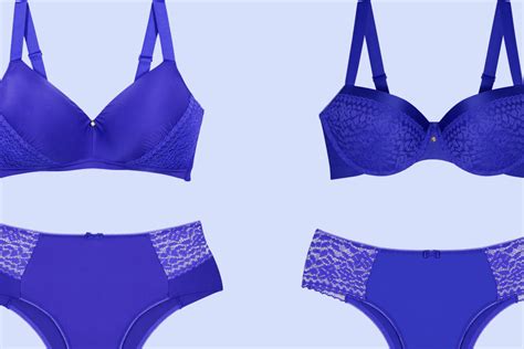 modelos de lingerie plus size para voce arrasar nas vendas png Fidelitá