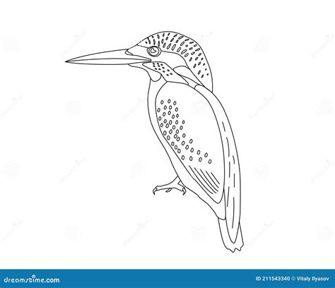 One Line Kingfisher Or Halcyon Bird Design Silhouette Hand Drawn