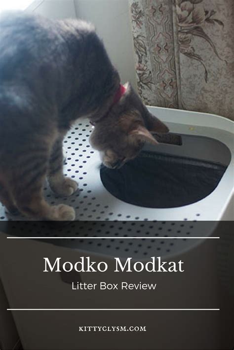 Modko Modkat Minimalist Top Entry Cat Litter Box Review Cat Litter