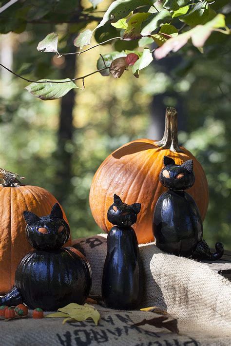 Pumpkin Carving Black Cat Family - Celebrate Creativity