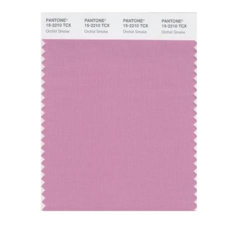 Pantone Smart 15 2210x Color Swatch Card Orchid Smoke House Paint