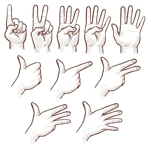 Hand Tekenen Schets Man Handen Tonen Nummers Doodle Set Premium Vector