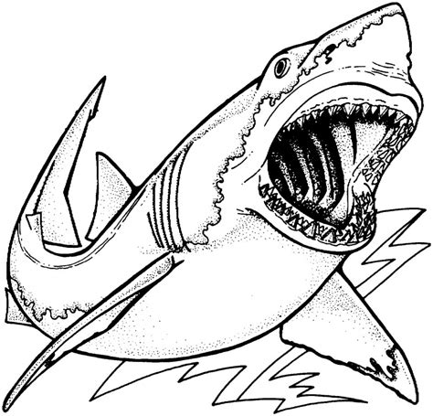 Dibujos De TIBURONES Para Colorear Y Pintar