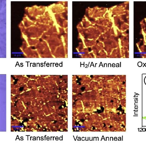 Optical Images Of CVD Graphene Transferred To SiO 2 A Without And B