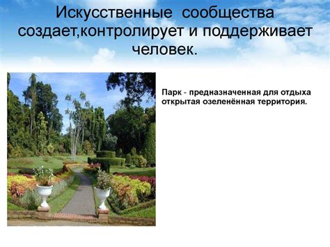 Искусственные природные сообщества - презентация онлайн
