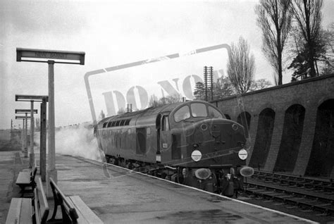 Rail Online Class 40 English Electric Type 4 D201 1959c New Barnet