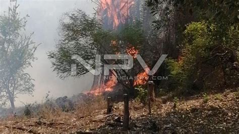 Mitigan Incendio Forestal En San Pancho Y Sayulita Tras Afectar