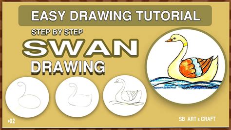 How To Draw Swan Step By Step Swan Drawing Easy Lessons For Kids