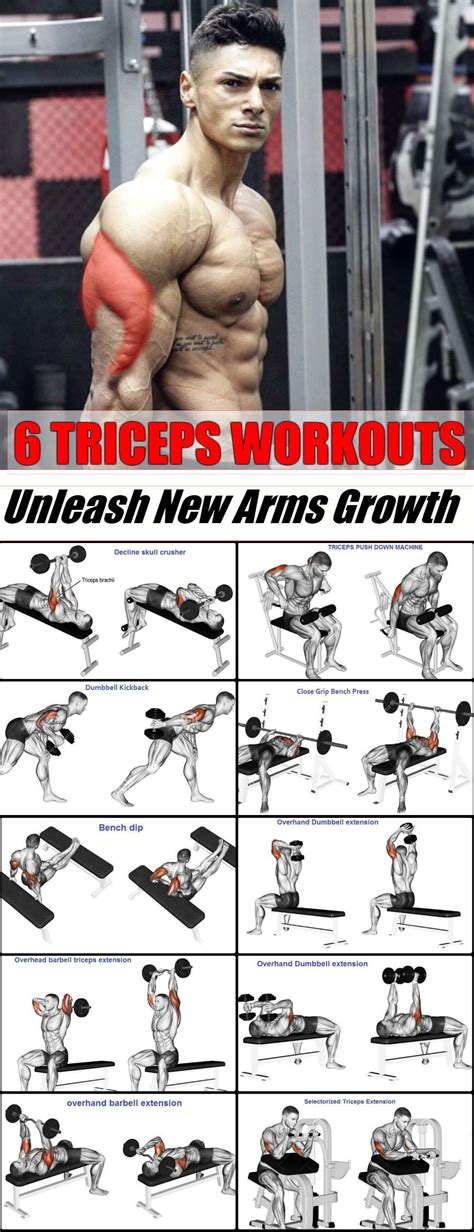 Trying To Bulk Up Your Arms Gain Strength And Boost Muscle Definition