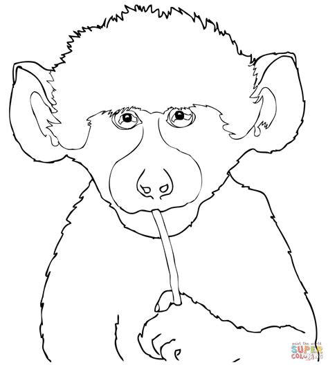 Cute Baby Baboon coloring page | Free Printable Coloring Pages