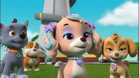 Pin By Ashley Stokes On Things I Like Paw Patrol Pups Skye Paw