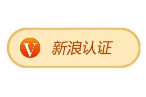 什么叫大v 百度经验