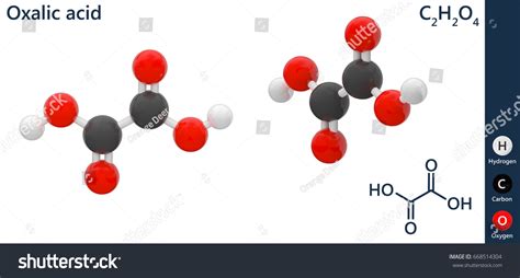 Oxalic Acid Lewis Structure