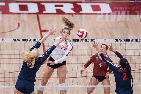 Women's volleyball set to host the Utes