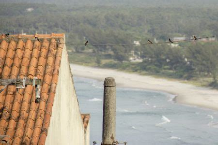 Vista Da Praia De Areia Marambaia Restinga De Marambaia Em