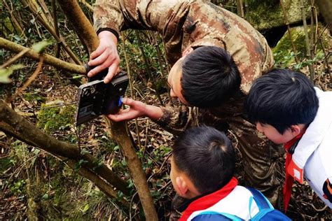 【3·3世界野生动植物日】小手拉大手，开启保护区自然教育之旅南岳区湖南频道红网