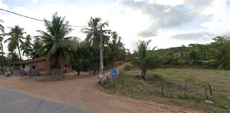 Estrada Em Que Empres Ria De Al Foi Atingida Por Coqueiro Fica Em