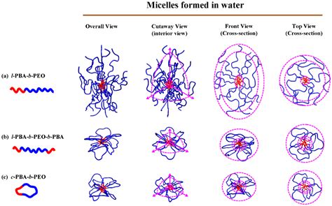 Micelles Structure Atelier Yuwa Ciao Jp