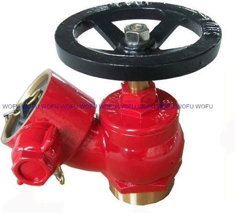 2 5 BS Screwed Fire Hydrant Landing Valve Landing Valve In Fire