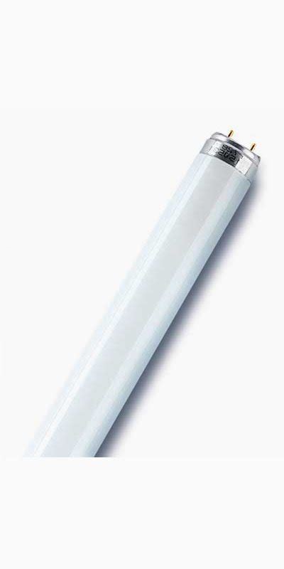 Osram T8 L 30W 865 Lumilux Daylight G13 895 Mm Lysman