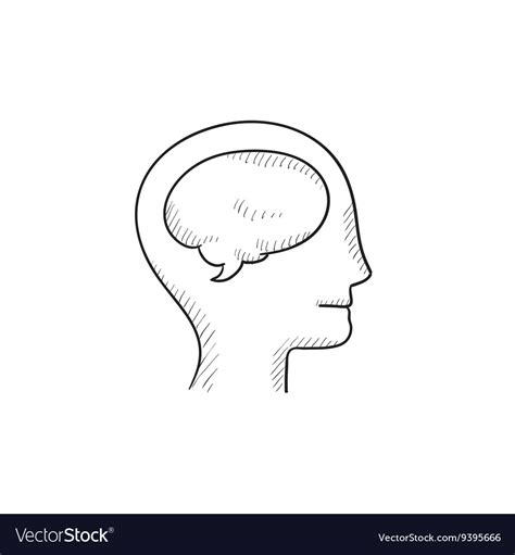 Human Head With Brain Sketch Icon Royalty Free Vector Image