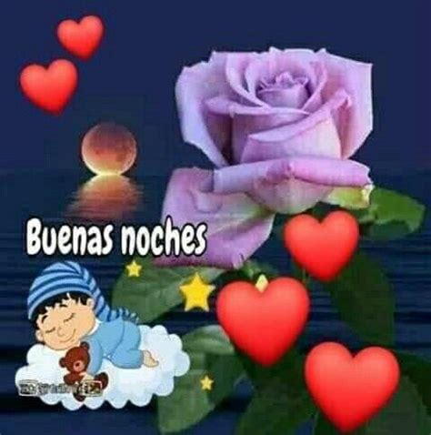 Pin by María Teresa Pérez Rivero on Saludos de buenas noches Plants