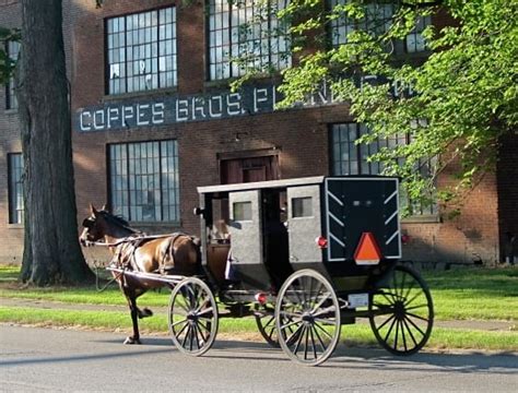 Indiana Amish: 2024 Guide (29 Communities) - Amish America