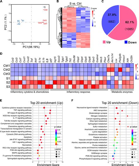 Frontiers Integrated Transcriptomics And Metabolomics Analysis Of The