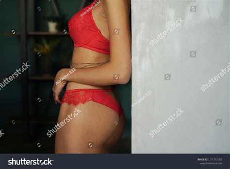 Sexy Beautiful Brunette Lady Posing Fashionable Stock Photo 1271732182 Shutterstock