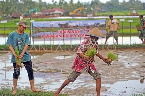 Deklarasi Kawasan Daulat Pangan Antara Foto