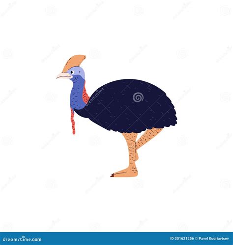 Illustration Vectorielle Du Style De Dessin Animé D Oiseau Cassowary Isolé Sur Blanc