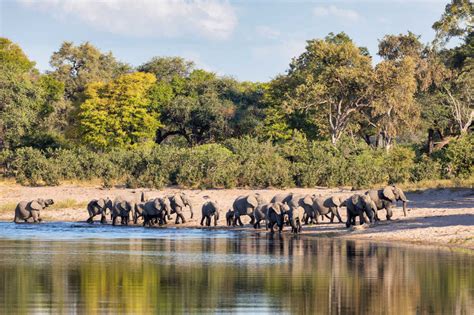 Circuit Touristique Namibie De Windhoek Aux Chutes Victoria