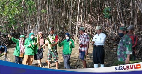 Kkn Uinam Tanam Mangrove Di Pesisir Pantai Samataring Suara Jelata