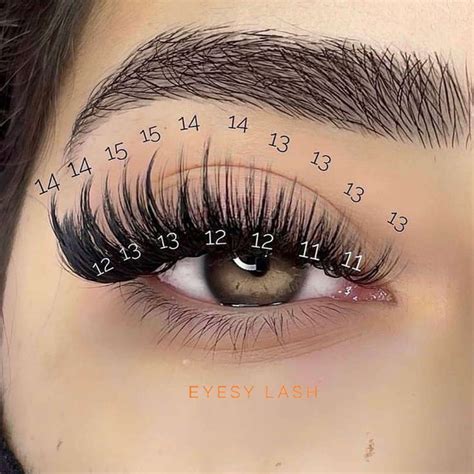 Lash Map Lashes Fake Eyelashes Perfect Eyelashes Eyelash Extensions