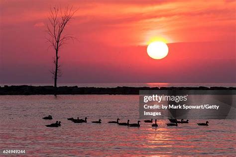 Huron County Ontario Photos and Premium High Res Pictures - Getty Images