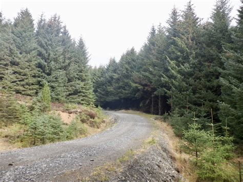 Logging Road Hyndhope Forest Richard Webb Geograph Britain And