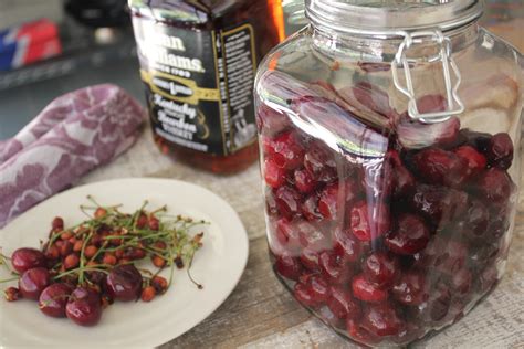 cherry bounce recipes 4