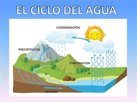 Ciclo Del Agua Experimento Para El Estado Gaseoso Educahogar Net