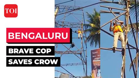 Suresh Hs Watch Traffic Cop Climbs 30 Feet To Rescue Crow Stuck On