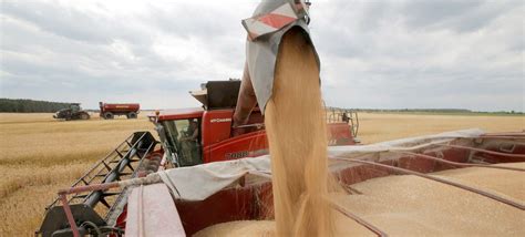 Fome cresceu mais de 20 no mundo e atinge 193 milhões de pessoas ONU