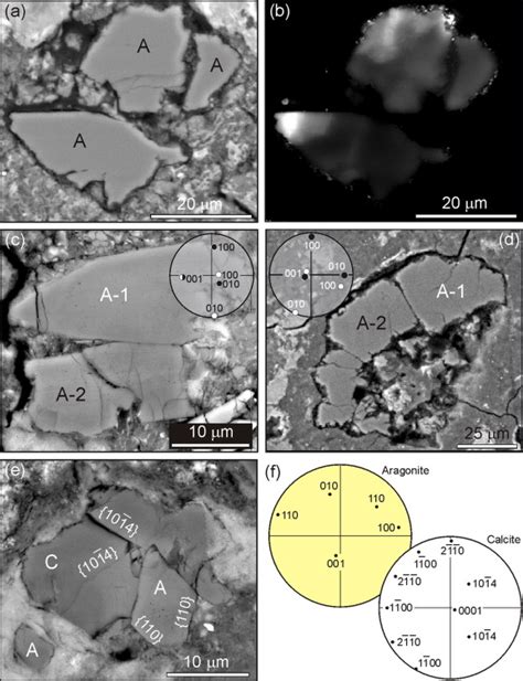 Crystals Of Aragonite A In Meteorite Matrices A Bse And B Sem Cl