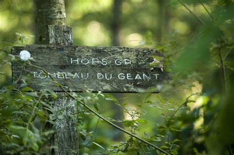 Excursions in the Forest of Brocéliande | Brittany tourism