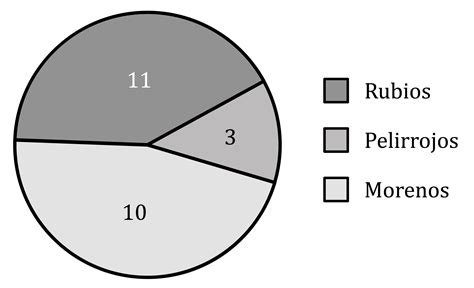 Diagrama De Sectores Representación E Interpretación Matemáticas Explicación Y Ejercicios