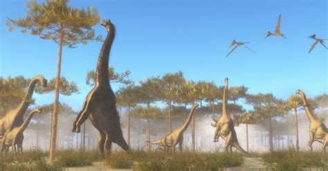 Discovering The World Of Brachiosaurus Altit Only Dinosaurs